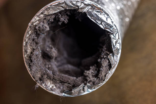 Best Home Air Vent Cleaning  in Barrackville, WV