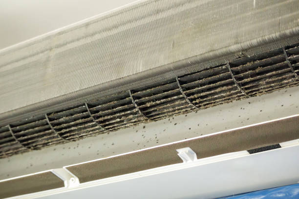 Best Best Air Duct Cleaning Company  in Barrackville, WV